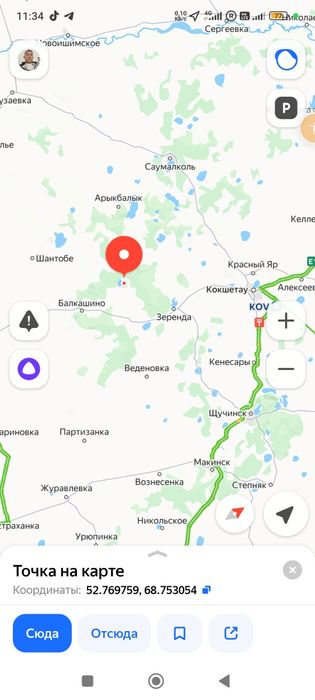 Дом  в селе для разведения гусей