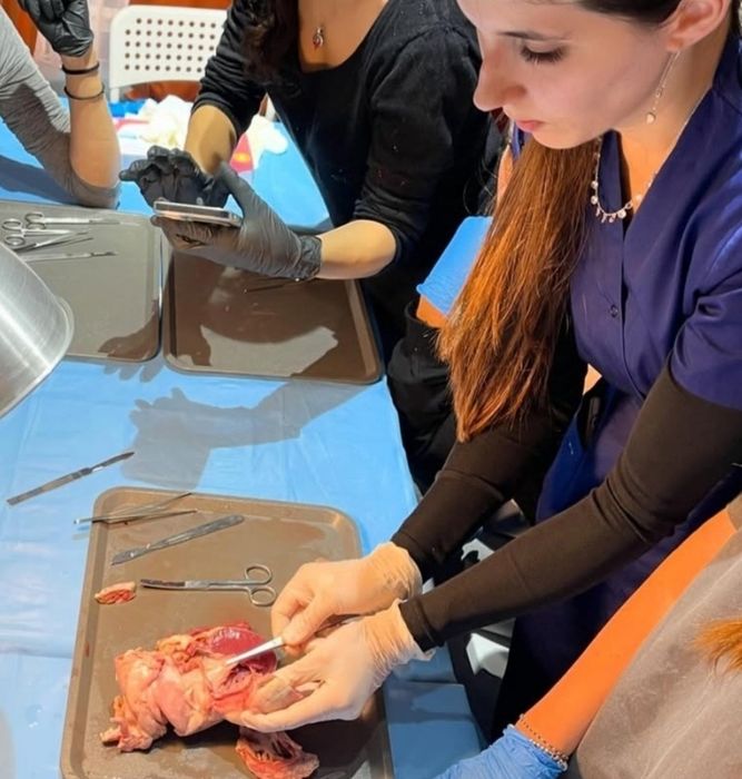 Meditatii biologie bac si admitere medicina