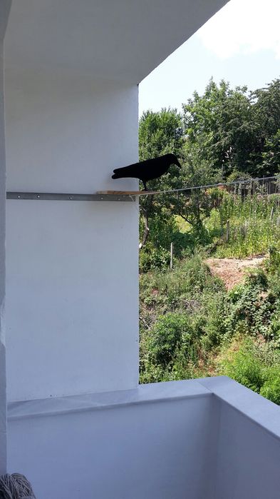 Продава се Двустаен апартамент в с. Давидково, Област Смолян - 71 кв.м за 539 €/кв.м - Снимка #23