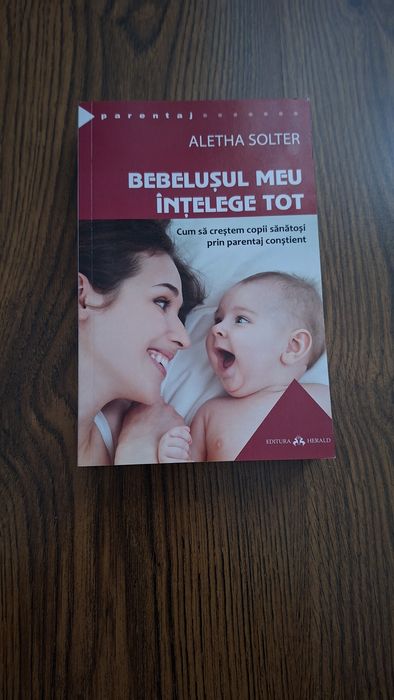 Carte Bebelușul meu înțelege tot