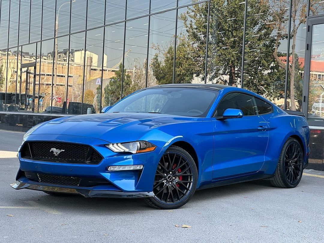 Ford Mustang Узбекистан: купить Форд Mustang бу в Узбекистане на OLX.uz