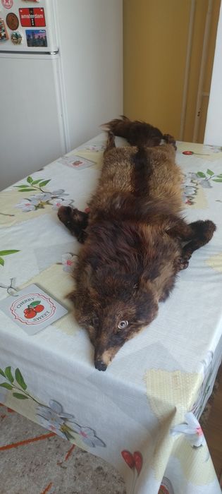 Яка от цяла естествена лисица