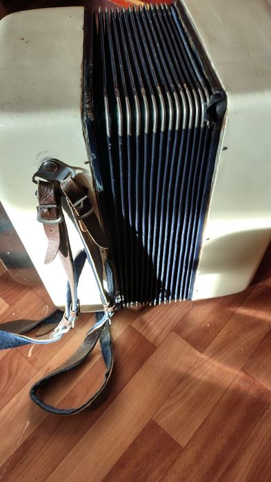 Баяны в Костанае