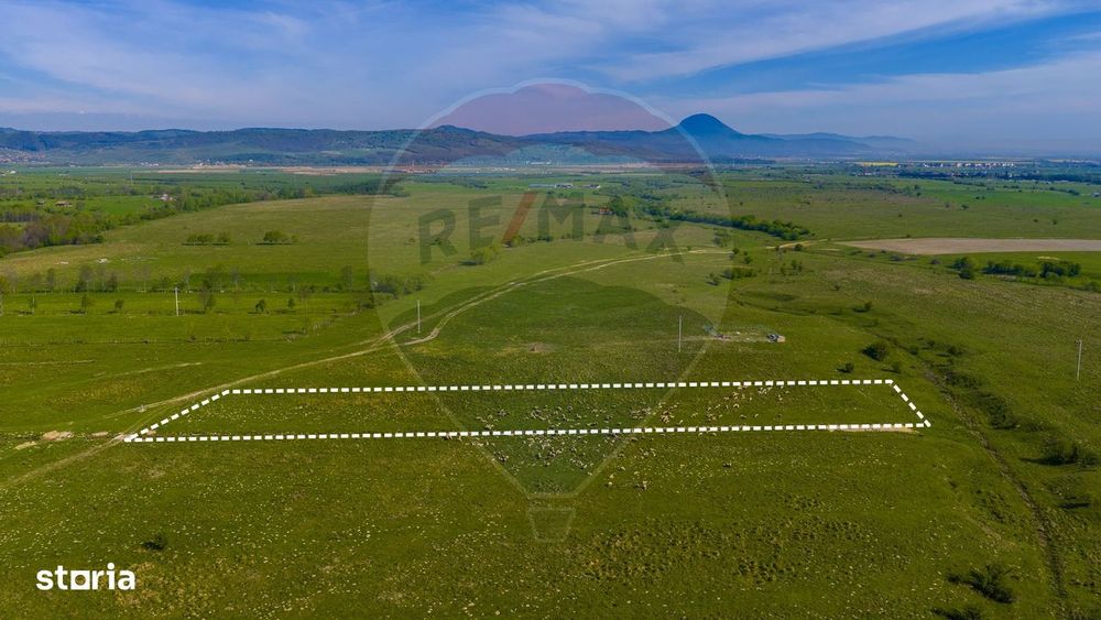 Teren 1ha, extravilan Rasnov / Agricultură sau fermă/ COMISION 0%