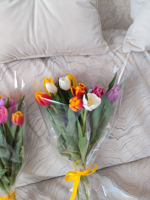 Продам тюльпаны по скидке