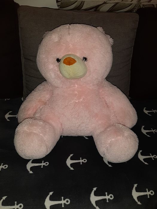 Urs de plus 50 cm
