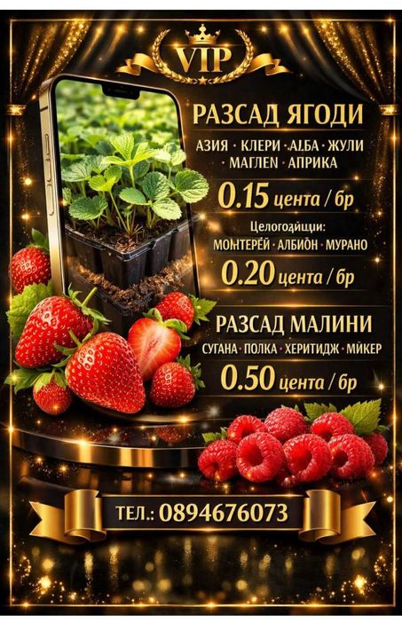 Продавам разсад ягоди