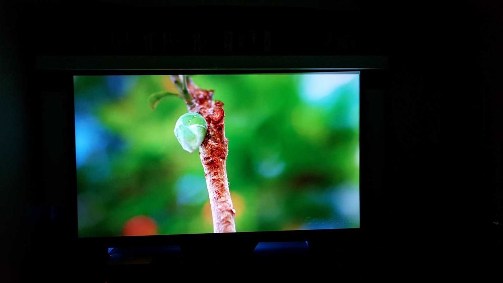 Ecran proiectie 100 inch ALR GREY Visual Experience rabatabil electric