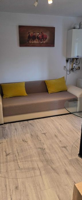 Inchiriez garsoniera Dambul Rotund, strada Caprioarei nr.3, 54mp cu 2 camere living bucatarie baie, toate renovateutilata full.
