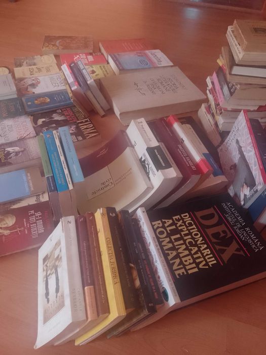 Vand carti beletristica, dictionare, specialitate drept