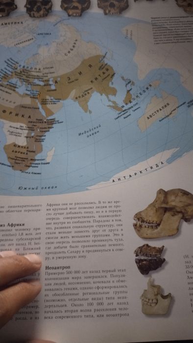 Атлас китоб сотаман