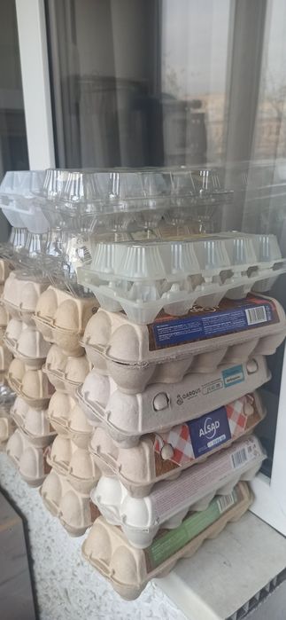 Лотки для яиц бесплатно