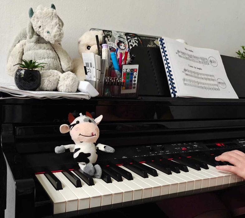 Cursuri de pian si teorie muzicala pentru toate varstele