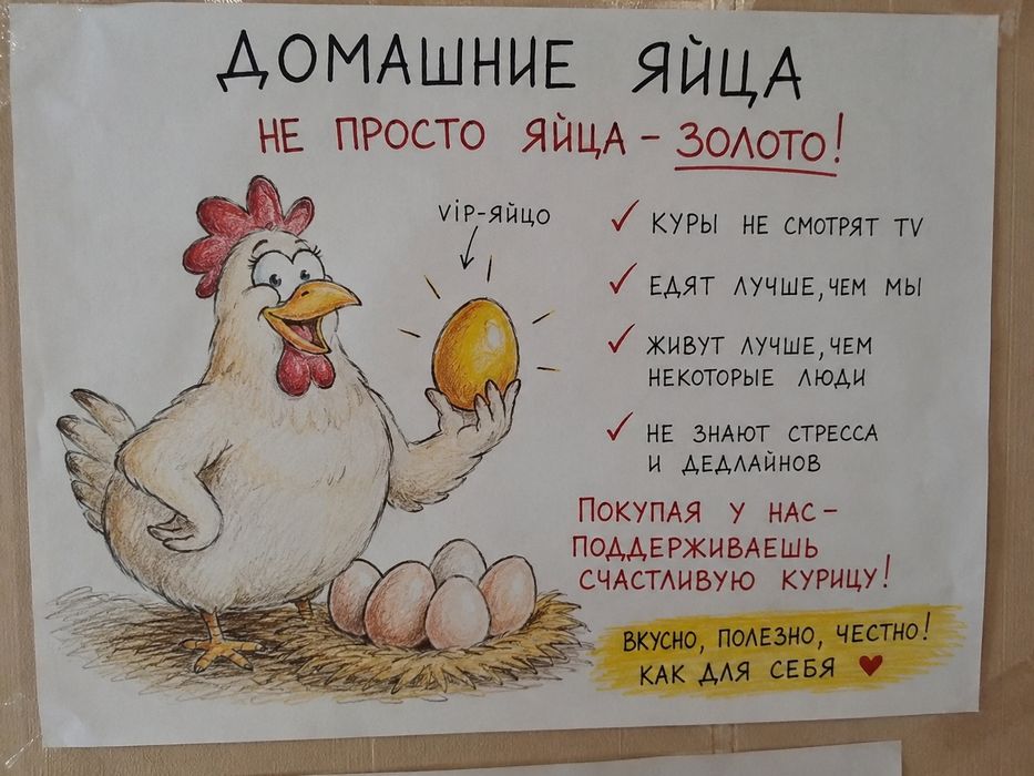 Свежие, домашние яйца.