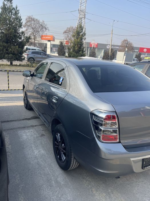 Cobalt Midnight 2025