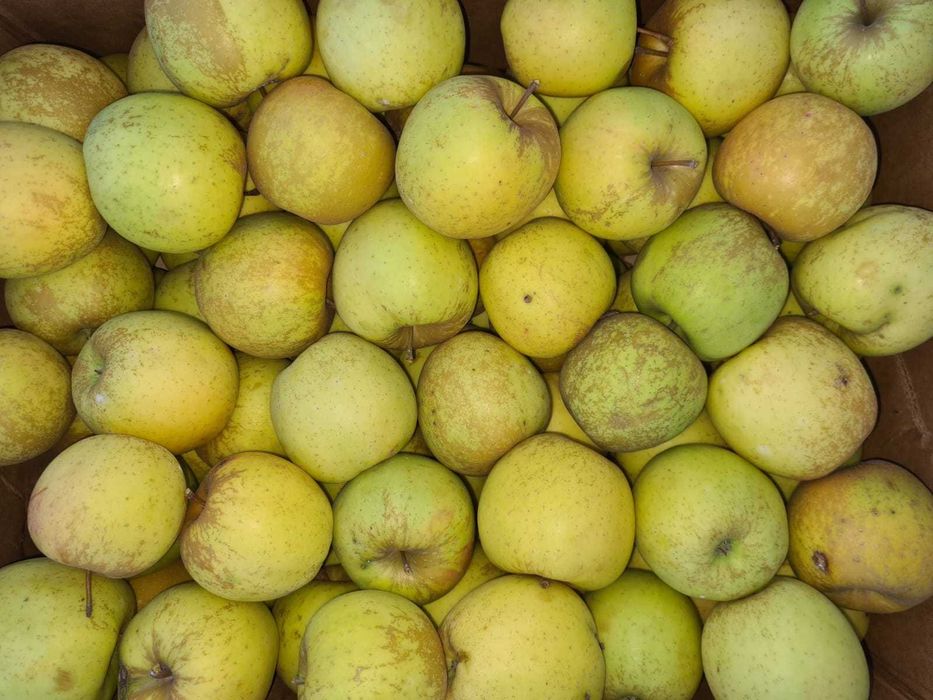 Mere proaspete de vânzare