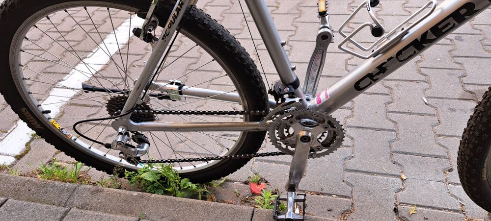 Bicicletea Checker Pig