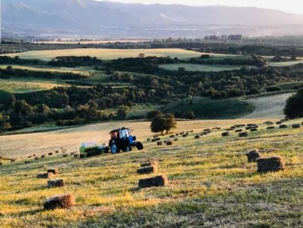 Услугу Трактор Беларусь МТЗ 82.1.