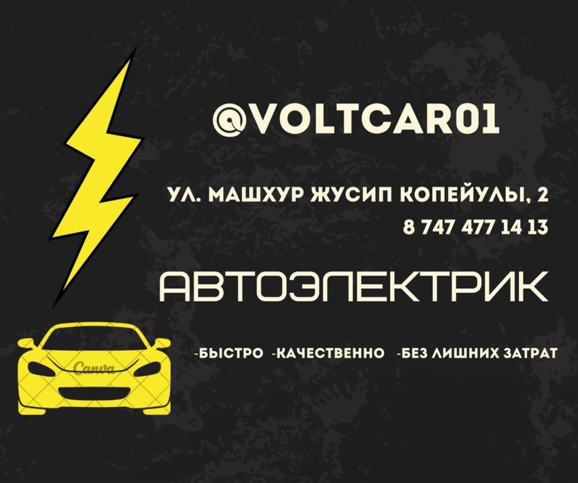 Автоэлектрик дианнотика