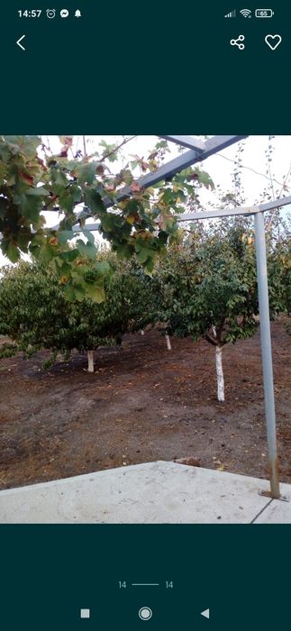 Продава се Къща в с. Здравец, Област Хасково - 100 кв.м за 378 €/кв.м - Снимка #11