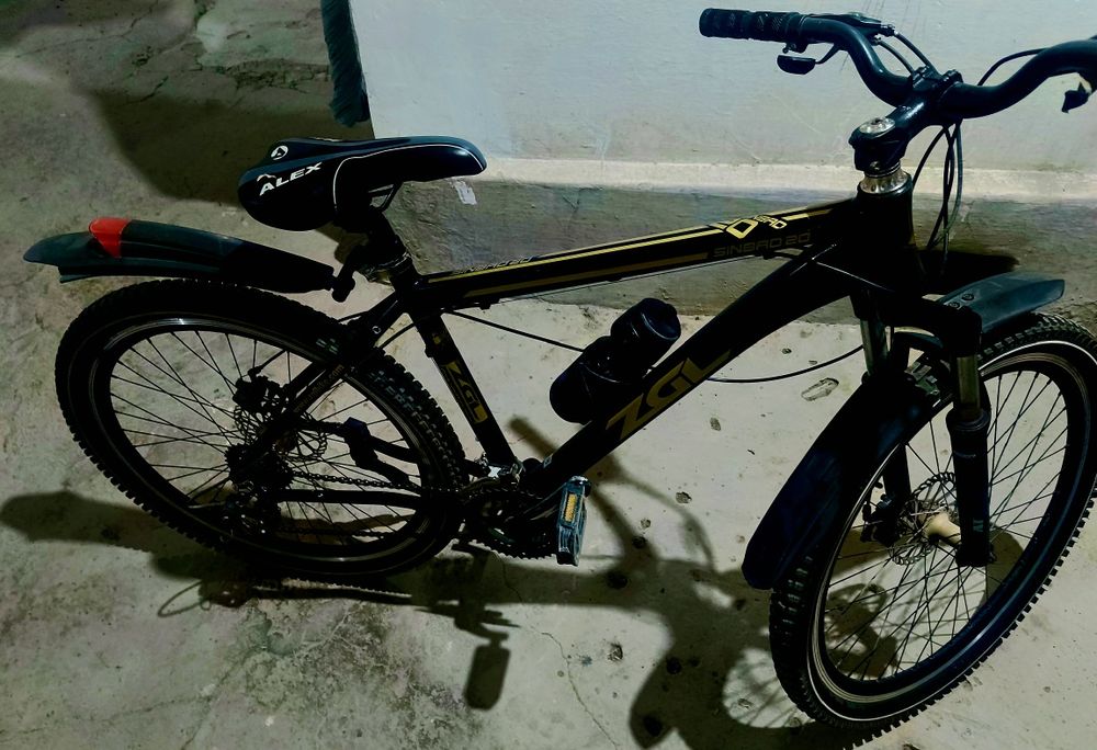 Velosiped ZAL sinbad20