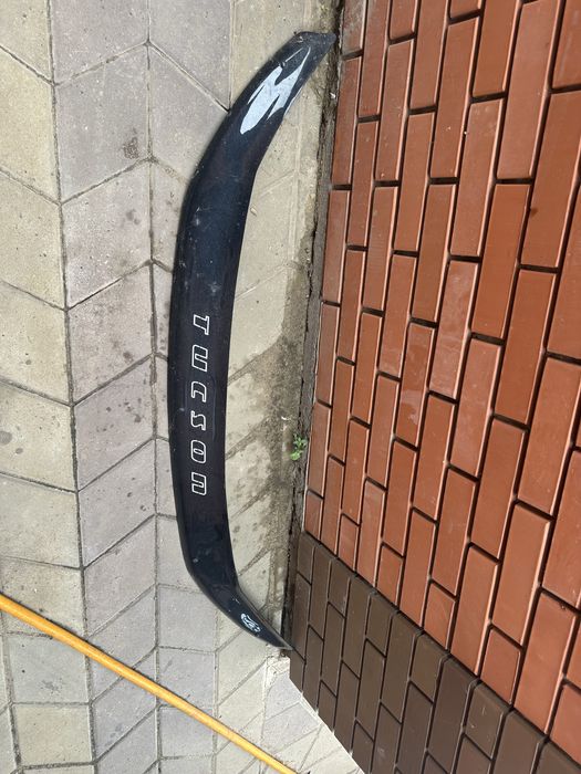 Мухабойка на туксон
