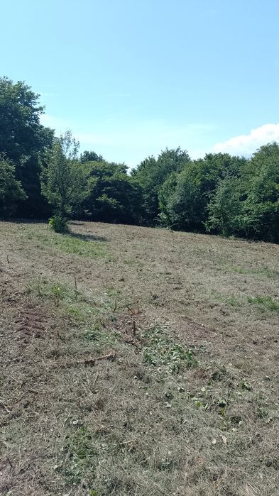 Tocătoare vegetație