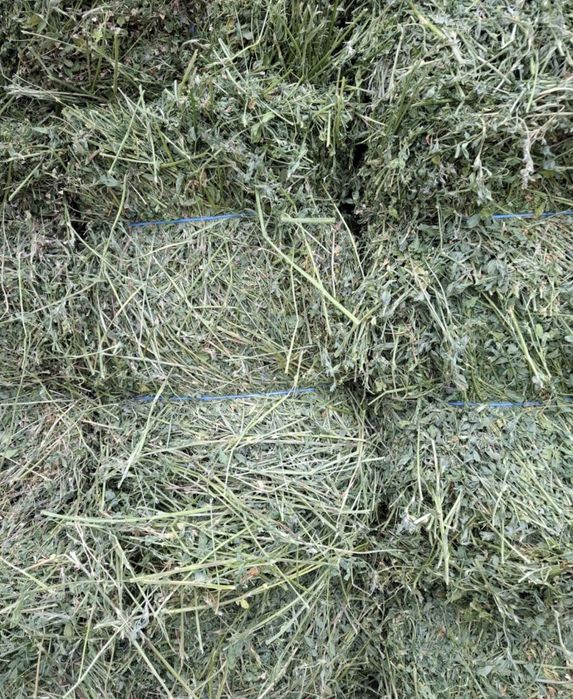 Baloti lucerna calitatea 1 - 22 ron , cal. 2 - 18 ron 800 buc