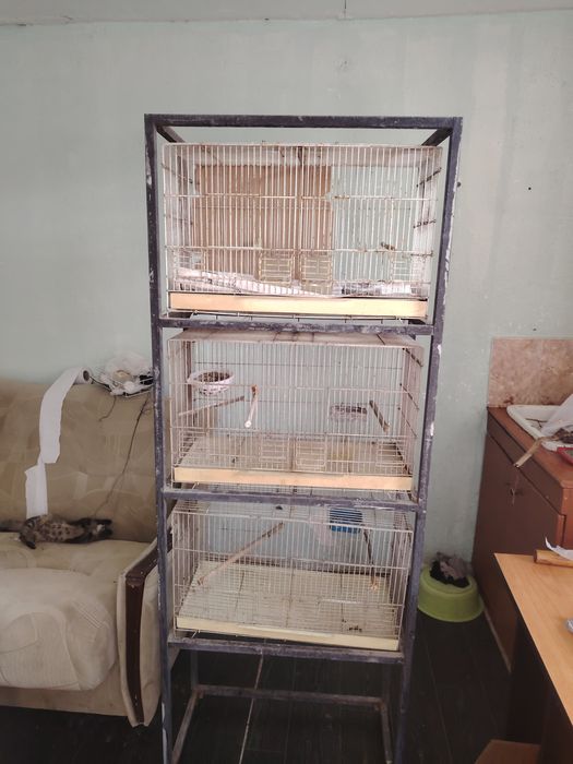 Клетки для птиц на продажу
