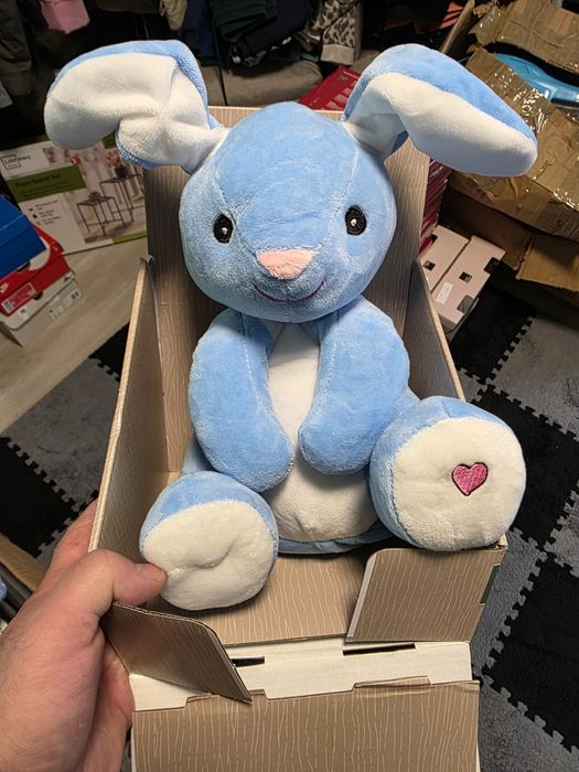 Iepuraș plus lupilu