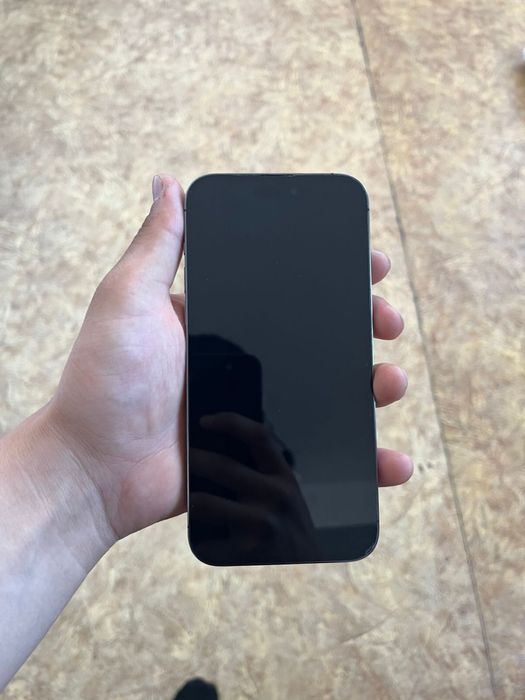 iPhone 14 Pro Max