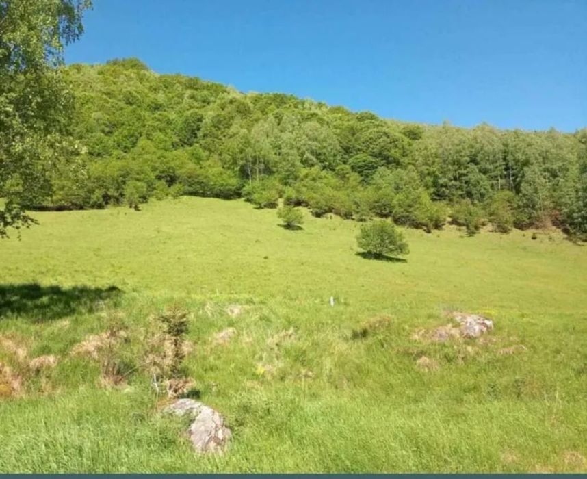 Teren PREMIUM 3000 mp Râușor – lângă pârtia de schi | Investiție turistică de top