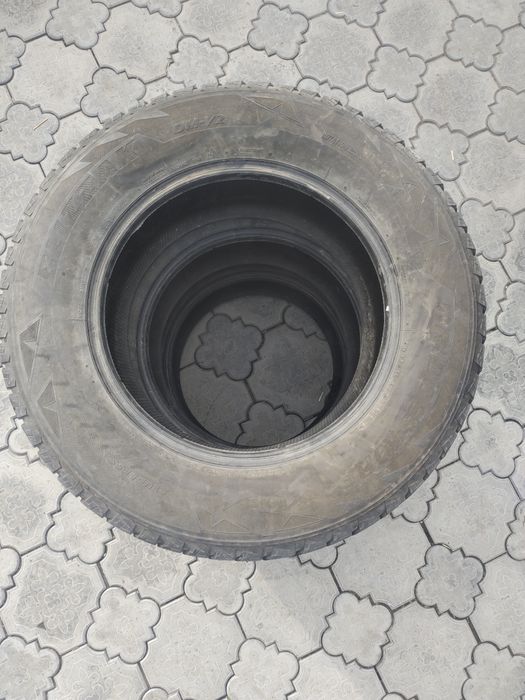 285 60 р18 летние