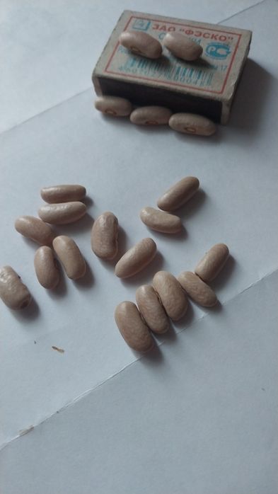 Фасоль  белая  свежая 1 л -1400т.