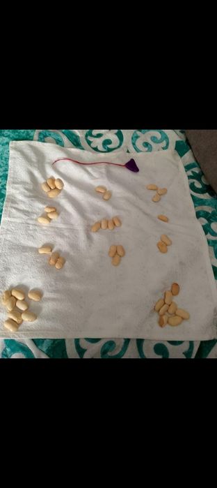 Кабарлас казир вотсапка жаз