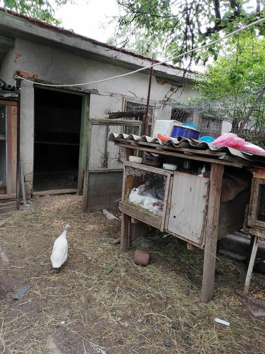 Продава се Къща в Враца, Квартал 103 - 50 кв.м за 816 €/кв.м - Снимка #4