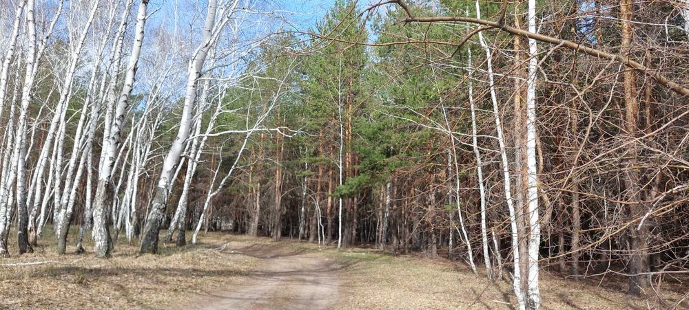 Продам участок земли