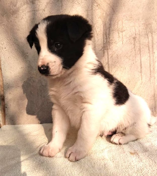 Не проходите мимо подарите дом бездомным