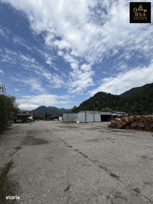 Proprietate Industrială / Comercială 25.951 Mp – Brezoi, Valcea