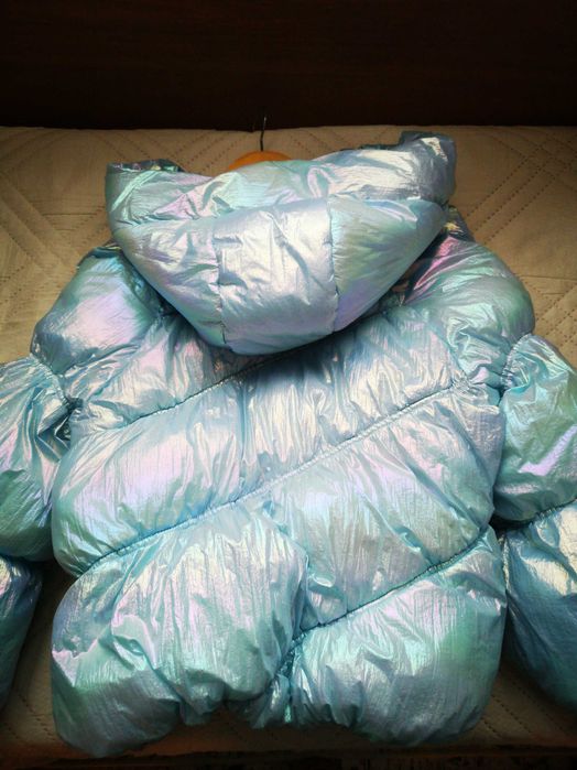 Красиво яке цвят син хамелеон