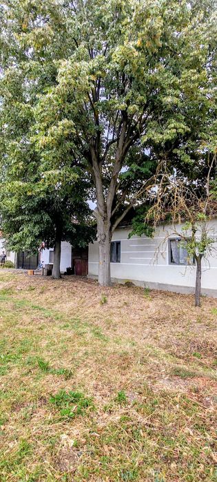 Casa Batraneasca cu teren 4000m2 intravilan