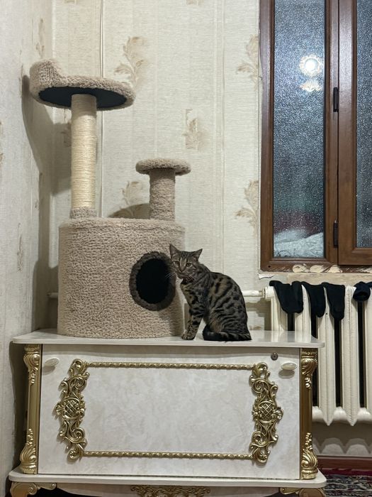 Продаёться домик для кошек .