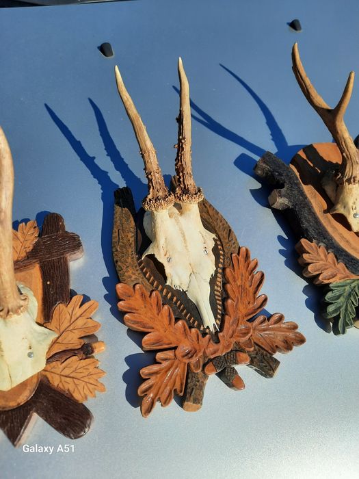 Елински рога. Трофей