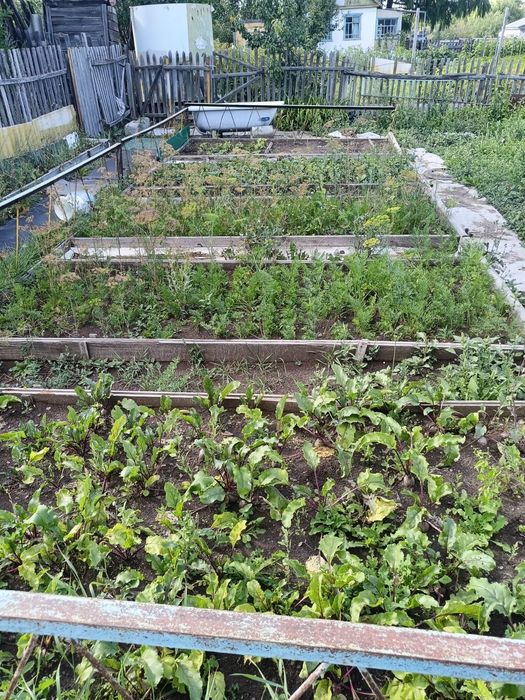 Продается дачный участок