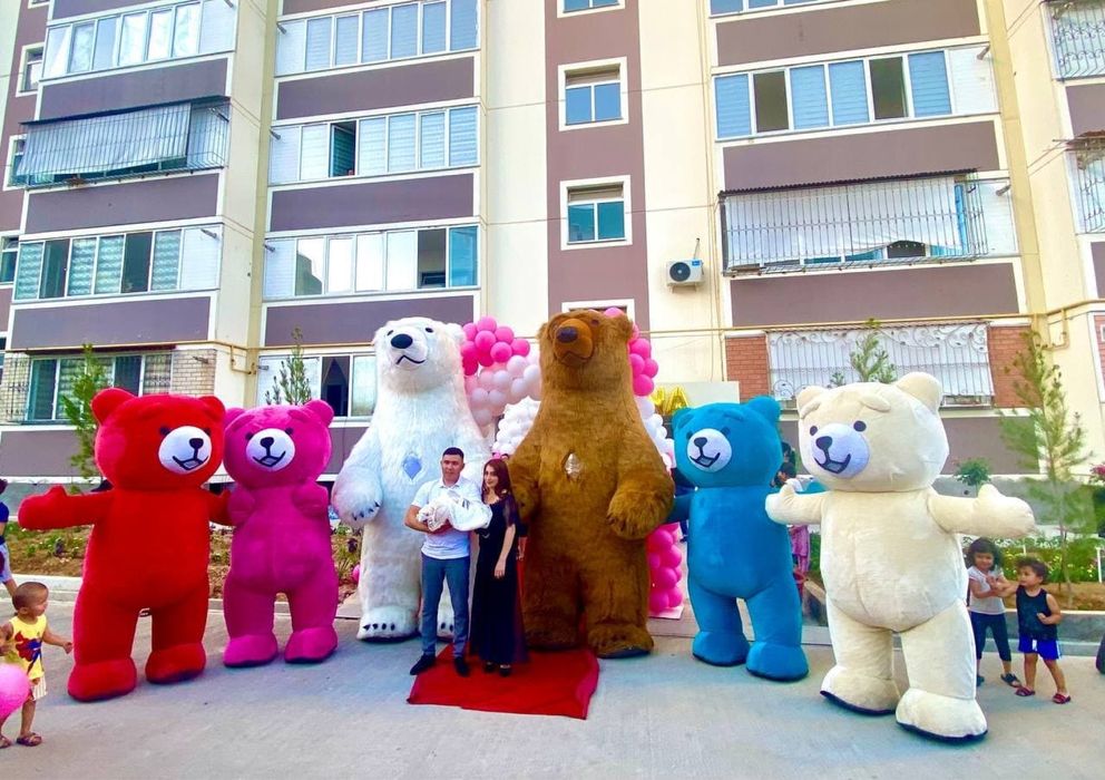 Sharli oformleniya ayiqlar xizmati foto video