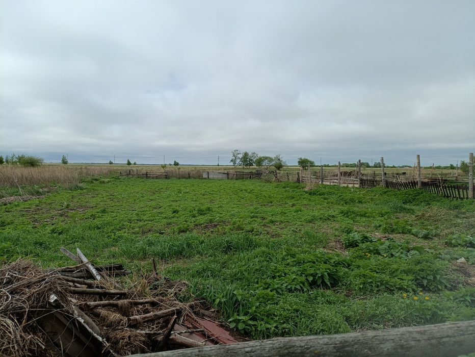 Продаётся дом в поселке Щербакова