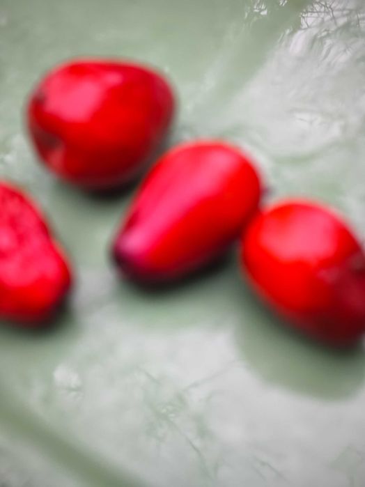 Хинап фиданки  различни височини