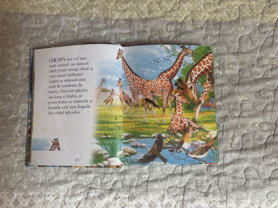 Carte Curiozitati despre animale.  Ed.Girasol