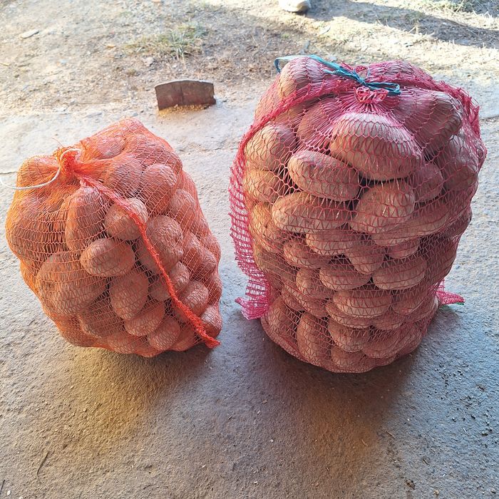 Cartofi de Făgăraș