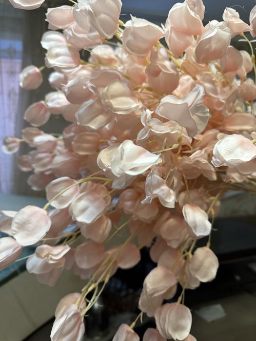 Продам цветы красивые и др.для оформлений